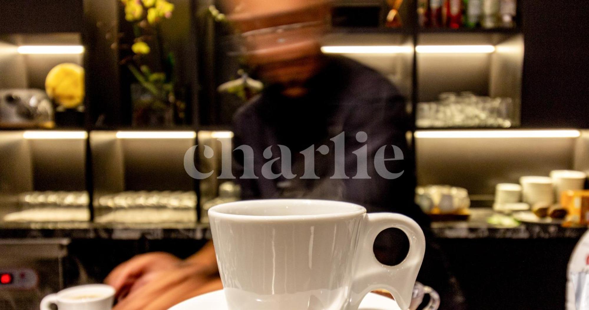 Iconyc Charlie Ibirapuera Hotel サンパウロ エクステリア 写真
